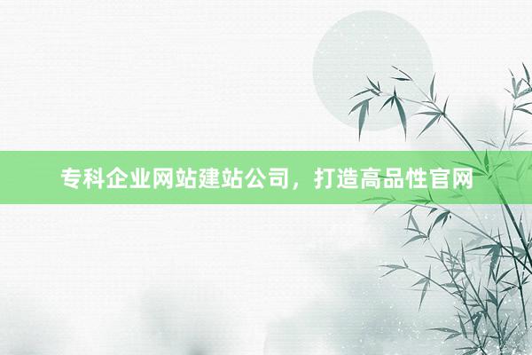 专科企业网站建站公司，打造高品性官网